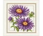 Ellen Maurer Stroh EMS - Flower of the Month - September - Aster PCS