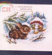 CeWeC 6747 - Rabbit in Snow