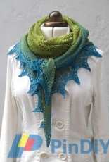 Alma Ella Shawl by Robin Lynn Free