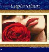 Dome 110704 Captivation