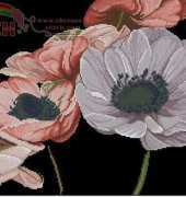 DMC BK610 - XC0826 Anemones Heart XSD