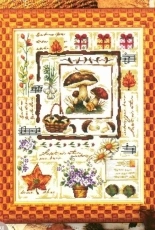 Dome 90905 - Mushroom Sampler XSD