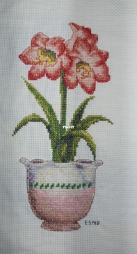 Lilies