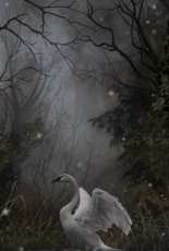 HAED HAENNT 130 Wings in Repose by Nene Thomas