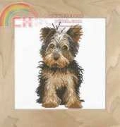Lanarte 35080 Yorkie