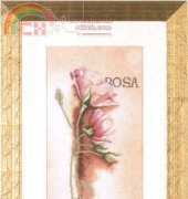 Lanarte 34926 - Rosa Botanical