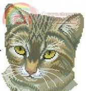 Eva Rosenstand 12-714 Striped cat