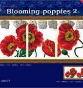 Dome 100407 - Blooming Poppies 2