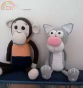 Cat and monkey