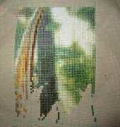 HAED Forest Walk Story Keep