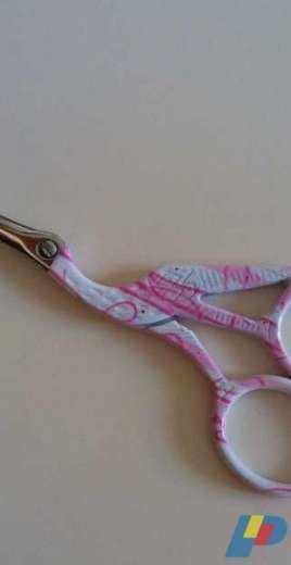 My pair of Scissors.