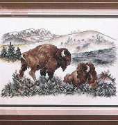Buffalo From Stoney Creek Collection November/December 1993 - Volume 5, Nnumber 6