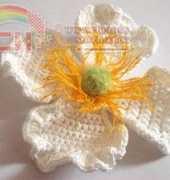 Meli Bondre - Camelia Shanahan - Clematis Montana Flower - Free