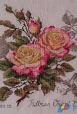 LBP - Les Roses III - Pullman Orient  Exspress
