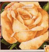 Lanarte 35024 Yellow rose