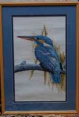 Kingfisher