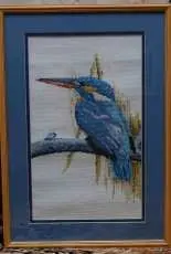 Kingfisher