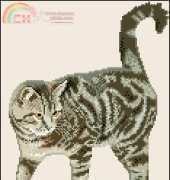 European Cat from Boek: Uw poes in kruissteek