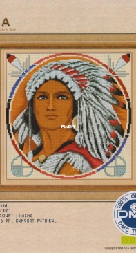 Pinn LE-39A Native American