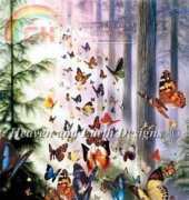 HAED HAEDAP 1012 Butterfly Wood by David Penfound