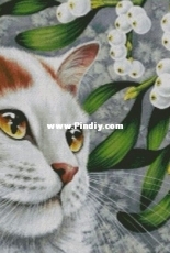 Chimera - Cat snowberry