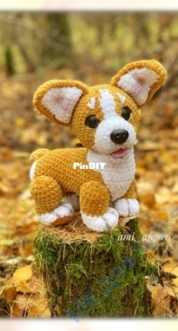 AmiAmor6 - Olga Tseplyaeva - Corgi - Russian
