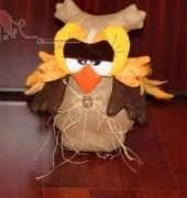owls