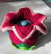 Daylily Tea Cosy by Jenny Stacey - Free
