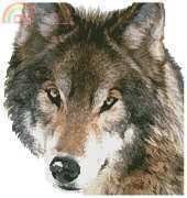 Artecy - Wolf Face