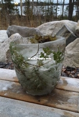 ice vase with flowers