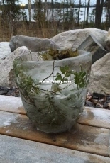 ice vase with flowers