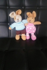 a pair of rabbits