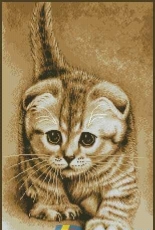 Kitten by Yushchuk/Mully XSD