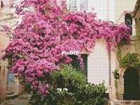 Artecy Cross Stitch - Bougainvillea