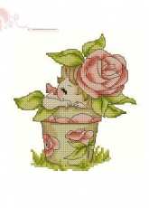 Tinker Bell - 7511 Flower Baby Rose