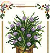 Vervaco 75-482 Allium (xsd)