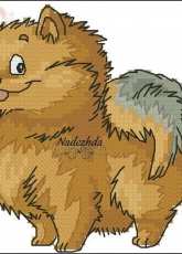 Spitz by Nadezhda