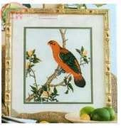 King Parrot from Чудесные Мгновения Wonderful Moments 2007. Gold Collection. Flora and Fauna (Russian)