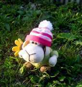 sheep with flower