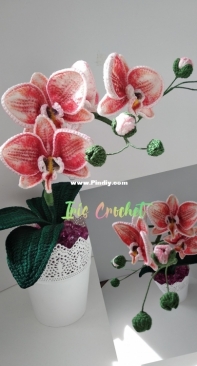 Crocheted orchid