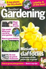 Amateur Gardening - 03 February 2018