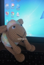 Sheep