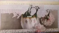 Розовые ПИОНЫ МАДАМ РЕНЬЮ ЭСТе