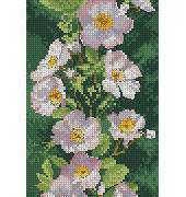 Heritage Stitchcraft - Flower Panels JCDR514 Dog Rose Panel by John Clayton XSD