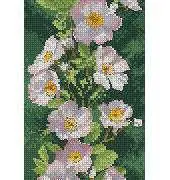 Heritage Stitchcraft - Flower Panels JCDR514 Dog Rose Panel by John Clayton XSD
