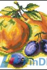Charivna Mit 442 Apples and Prunes