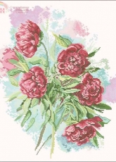Lanarte 34964