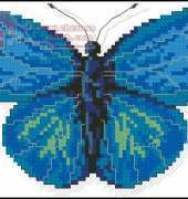 Jasuzip 2004.04 - A Butterfly-aldania raddei