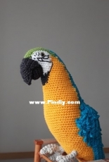 parrot