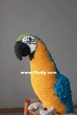parrot